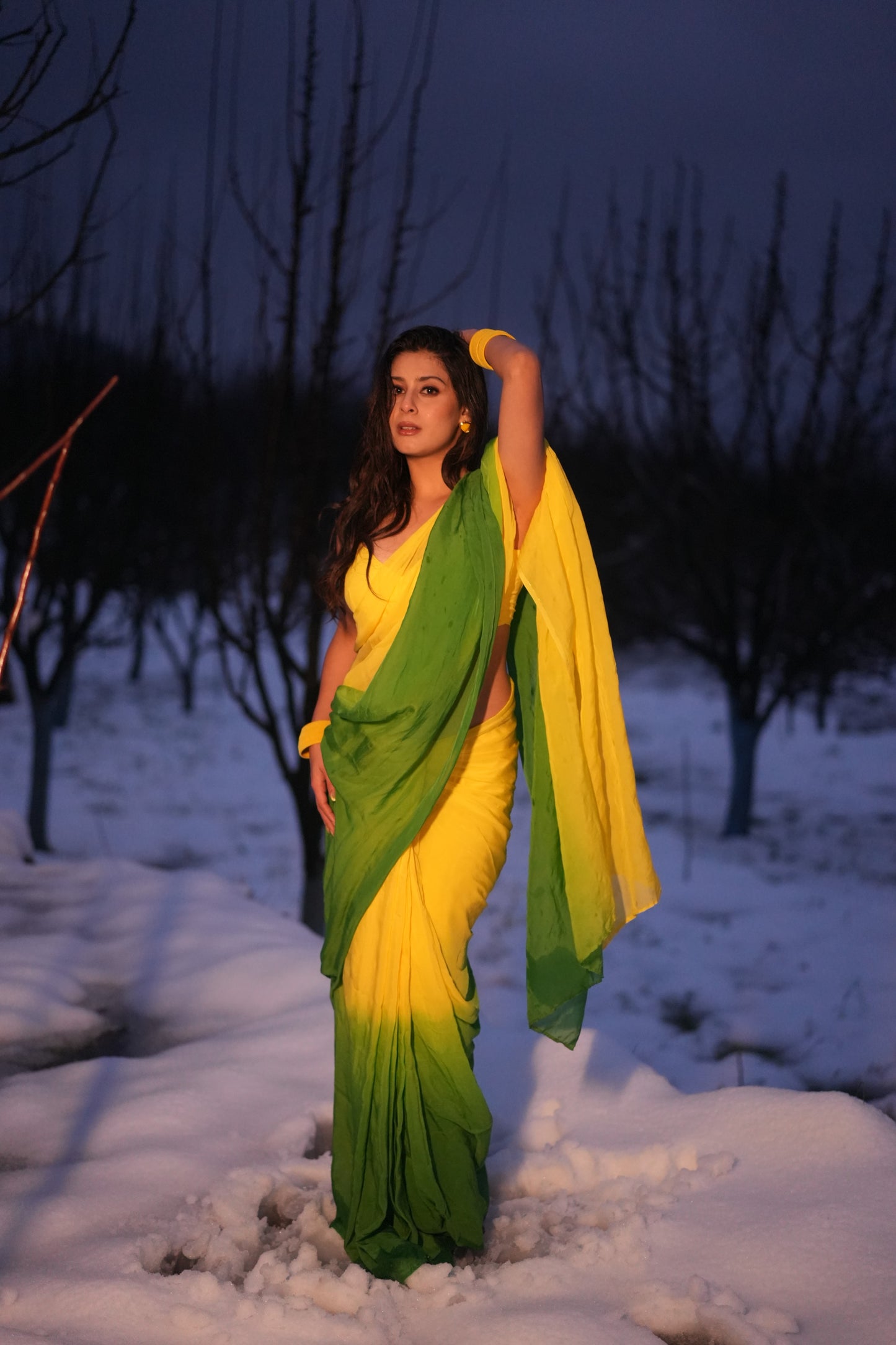 JASHN- Yellow Green Ombre Organza Saree with Stitched Blouse
