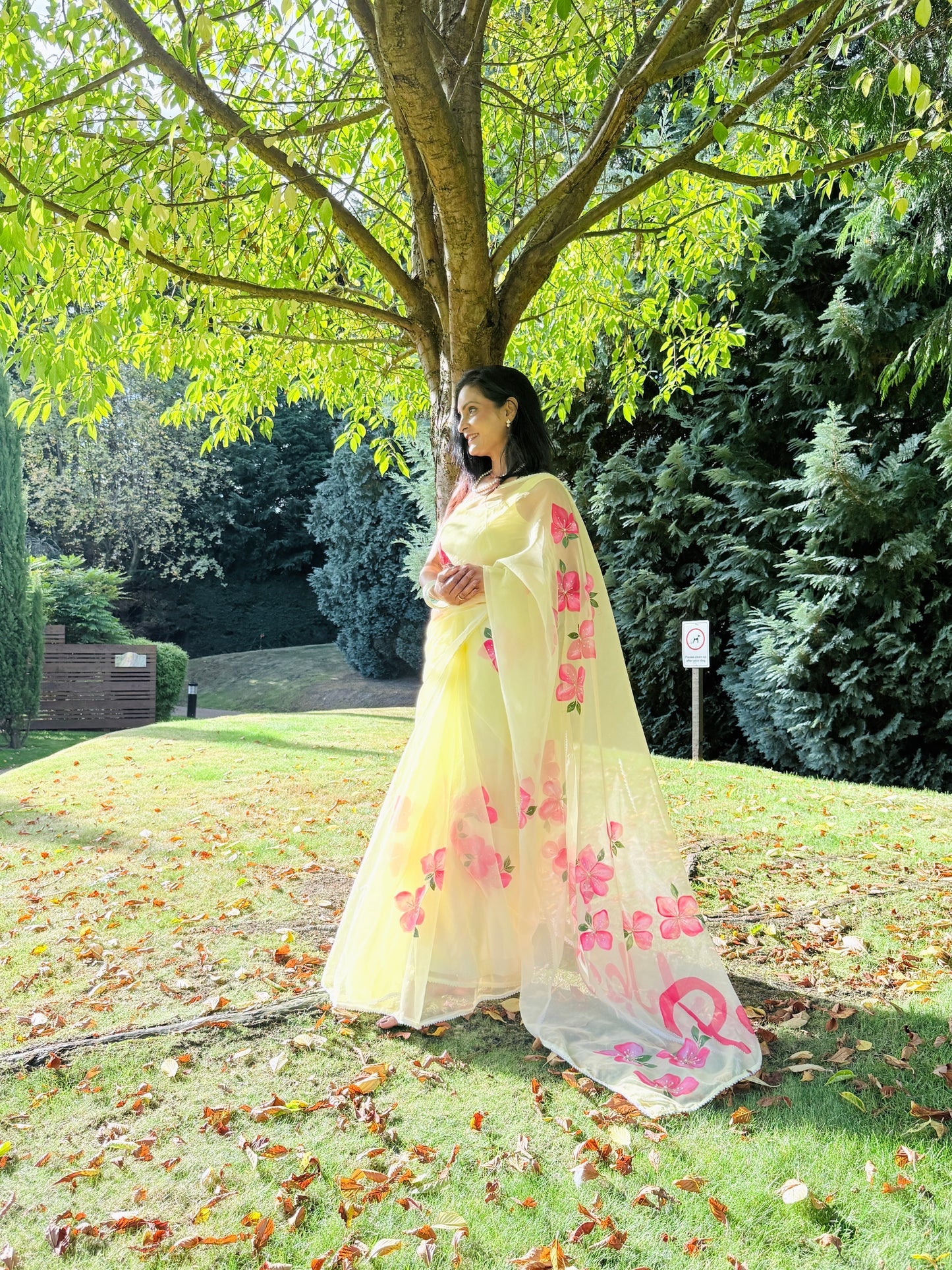 CHITRAKARI-Lemon Yellow Handpainted Organza Saree With Handembroidery