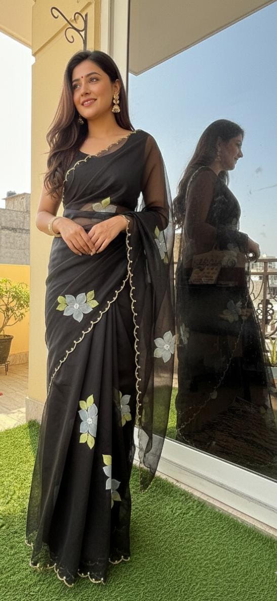 Black Handpainted Organza saree